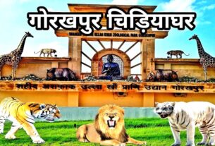 गोरखपुर