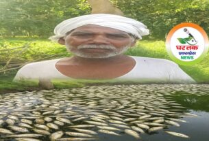 मछलियों
