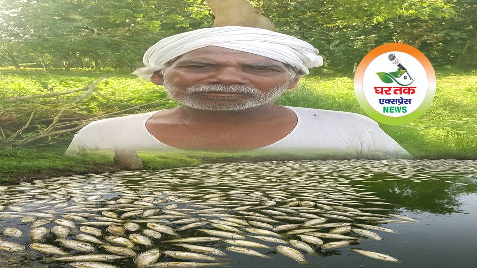 मछलियों